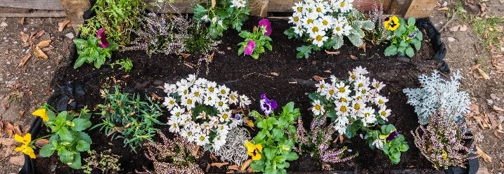 Hochbeet aus Paletten